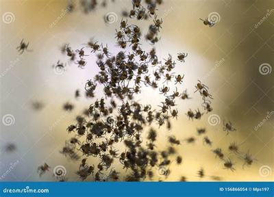 福安熱血封神H5_刀劍萌俠(0.1折版) 助力創(chuàng)業(yè)者騰飛的良機(jī)市場(chǎng)營銷策劃